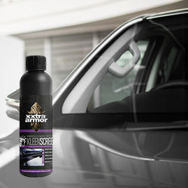 Windshield Cleaner